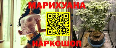 шишки Новокубанск