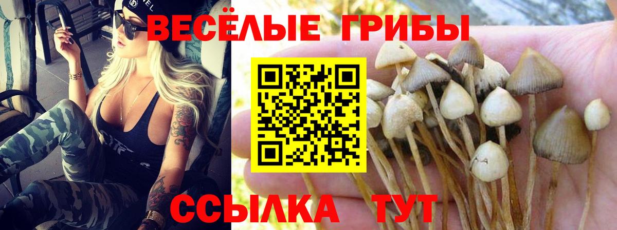 Галлюциногенные грибы GOLDEN TEACHER Старая Купавна